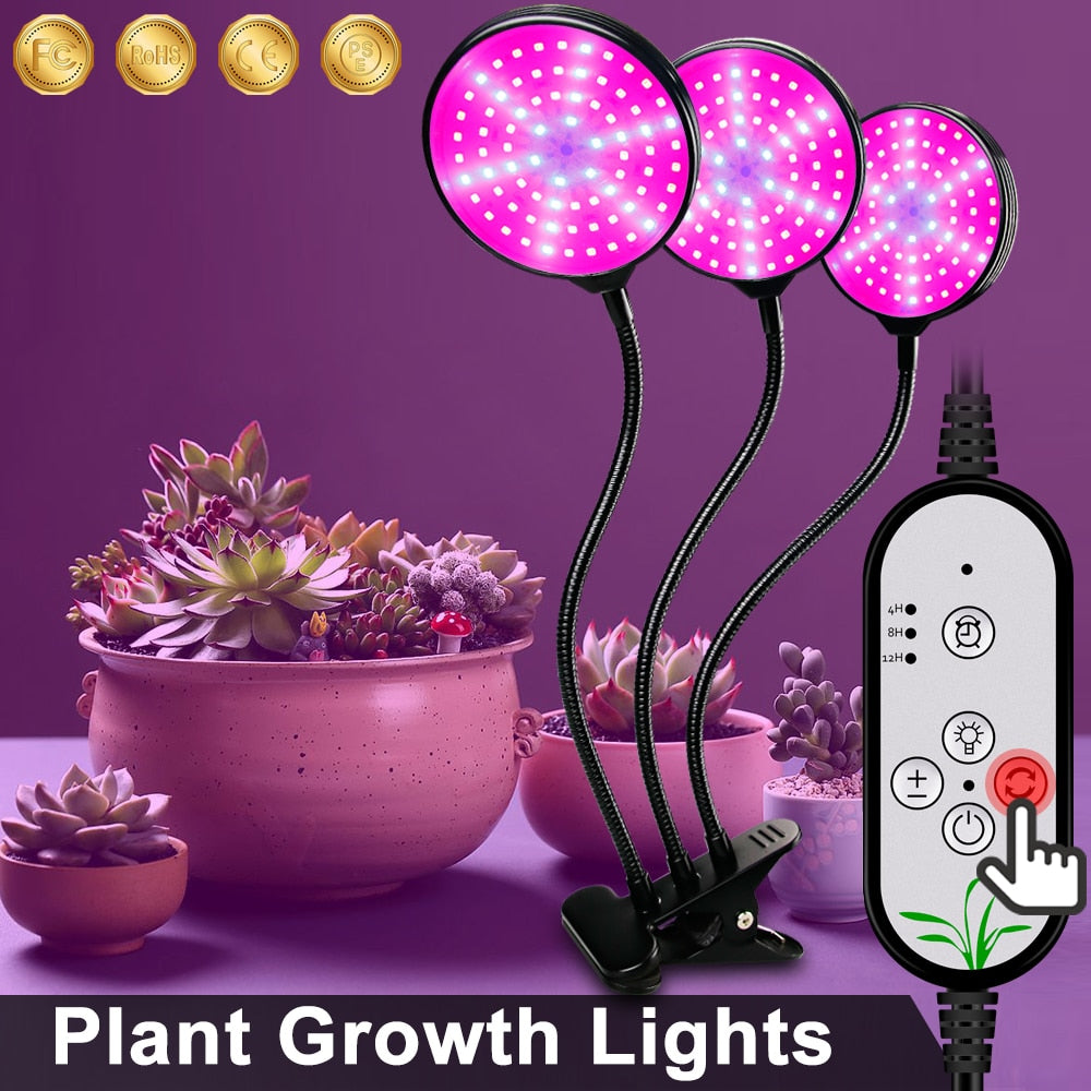 Plant Growth Lamp