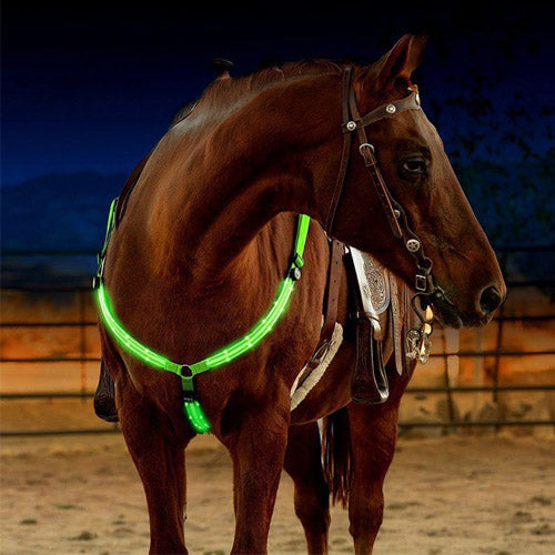 Equestrian LED light strip - Phos Light