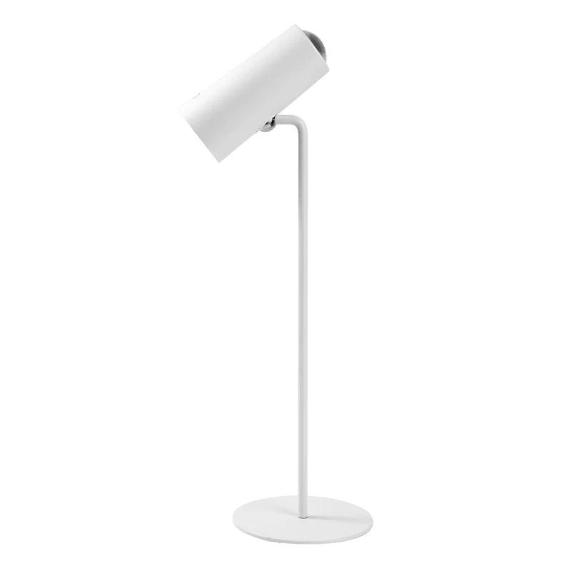 Phos Light LED Desk Lamp w/ Adjustable Head USB Type C
